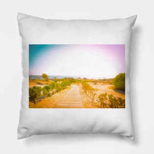Pathway to the beach in Oman filtered Pillow