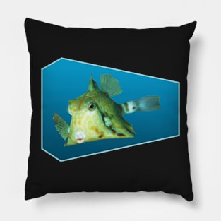 Boxfish | Floating Fish on a blue background | Pillow