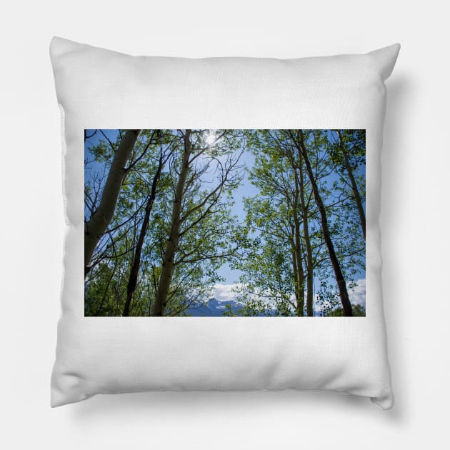 Colorado Mountain 5 Pillow by photosbyalexis