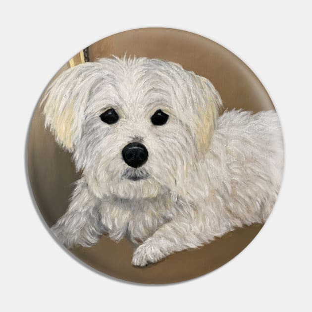 Maltese dog oil portrait. Little white dog with black button eyes and nose. Pin by KarenZukArt