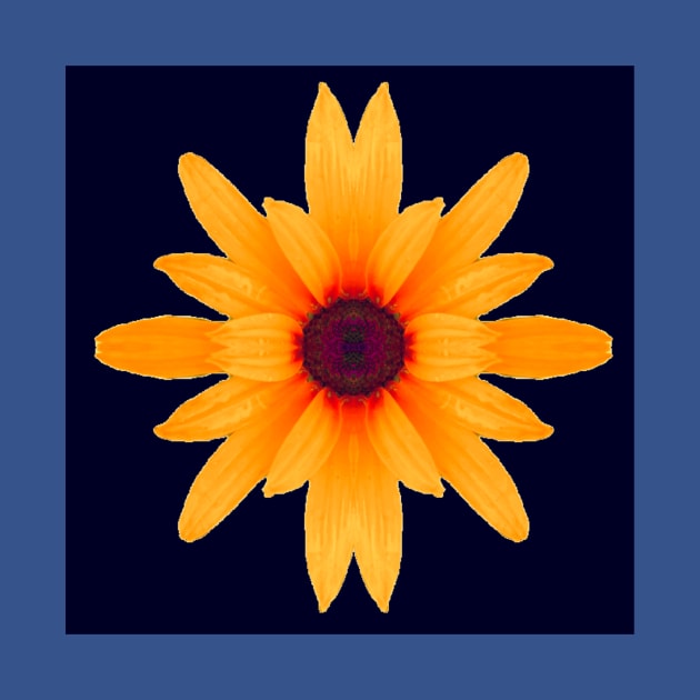 Bright Daisy (dark background) by Amanda1775