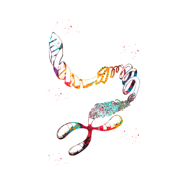 DNA Chromosome by erzebeth