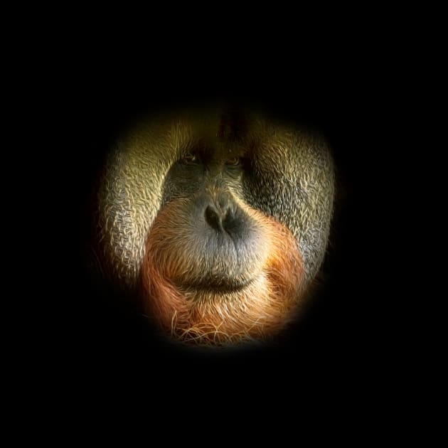 Orangutan face by Guardi
