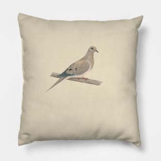 North American Holy Spirit Pillow