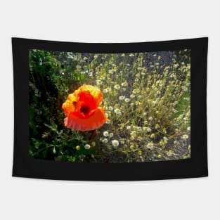Red Poppy Daisy Chain Nature's Garden Tapestry