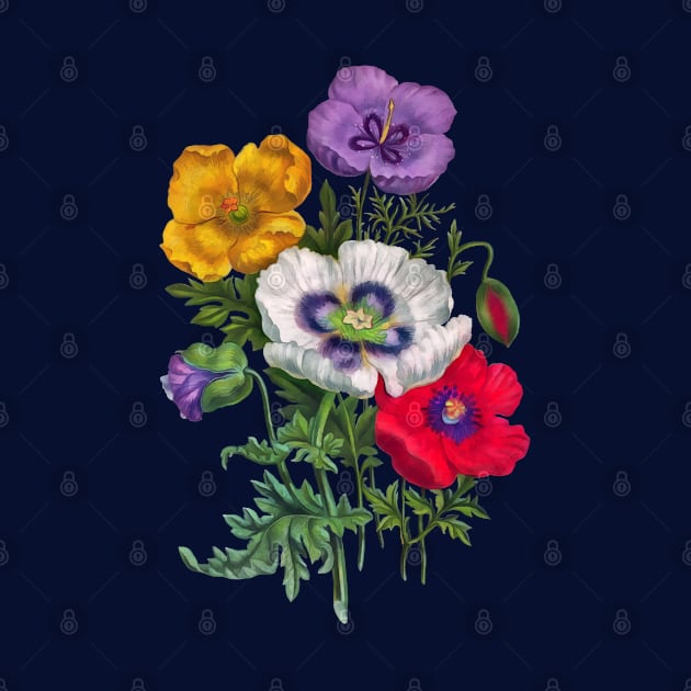 Colorful poppies by CatyArte