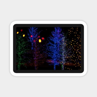 Christmas Lights Magnet