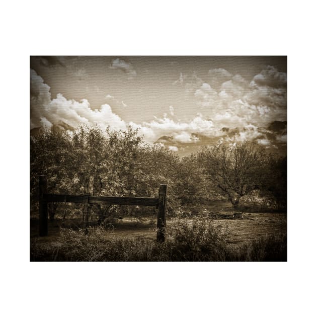 Old West Gate And Storm Clouds by KirtTisdale