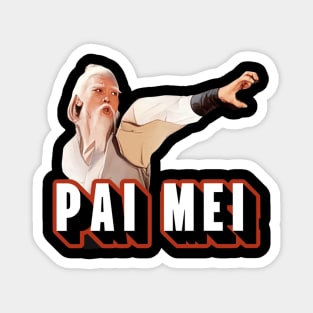 Pai Mei Punch Magnet