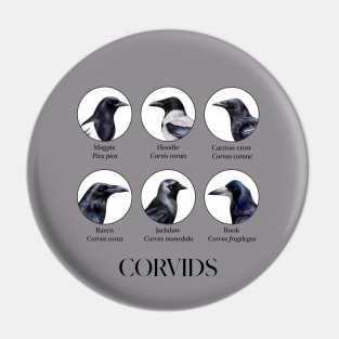 Corvid Chronicles Pin