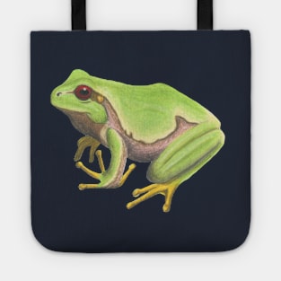 European Tree Frog :: Reptiles and Amphibians Tote