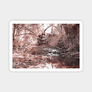 Photo of Peaceful Jungle Stream in California V2 Magnet