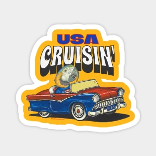 Funny and cute African blue and gold Macaw Bird driving a classic car cruising the USA Magnet