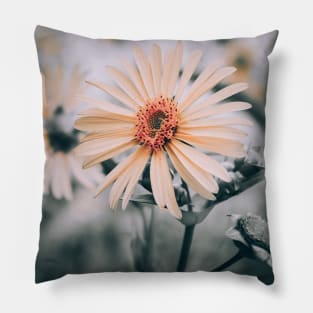 Cup Plant. Yellow Flower Photograph Pillow