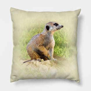 Meerkat Pillow