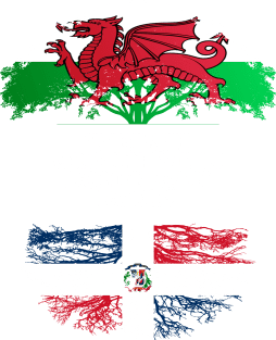 Welsh Grown With Dominican Republic Roots - Gift for Dominican With Roots From Dominican Republic Magnet