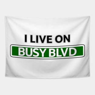 I live on Busy Blvd Tapestry