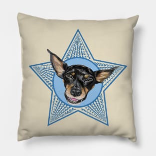 ADOPT (blue) Pillow