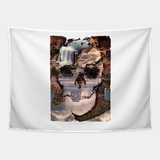 Canyon Tapestry