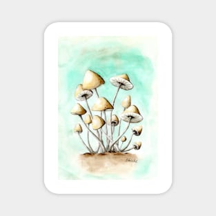 mushrooms Magnet