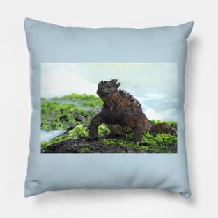 Galapagos Marine Iguana Pillow