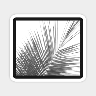 Black and white abstract palm leaves Magnet