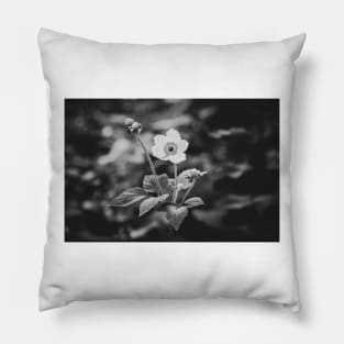 Black and White Japanese Anemone Flower Pillow