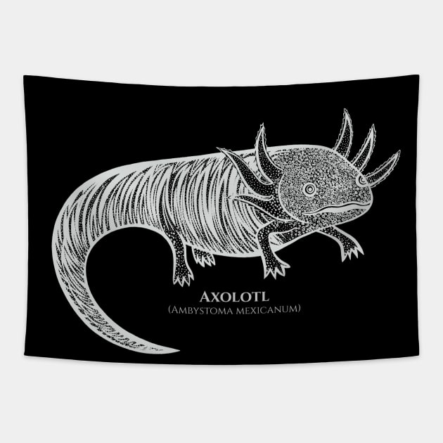Axolotl with Common and Scientific Names - cool animal design Tapestry by Green Paladin