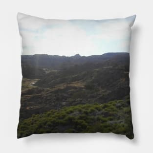 Over View Pillow