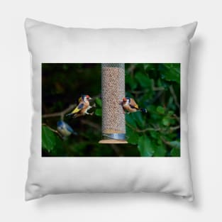 Squabbling Goldfinches Pillow