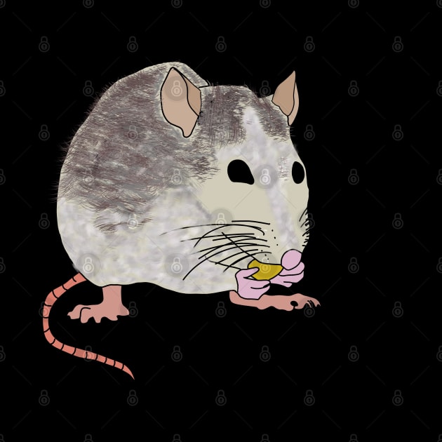 Rat Eating Cheese by graphics