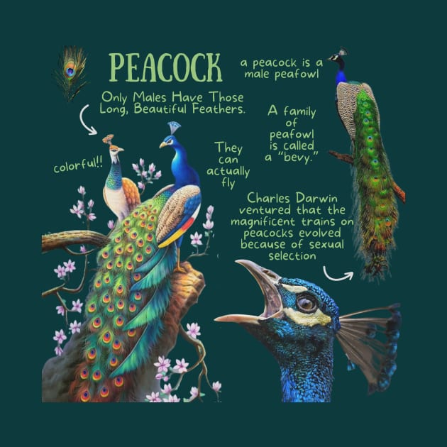 Animal Facts - Peacock by Animal Facts and Trivias