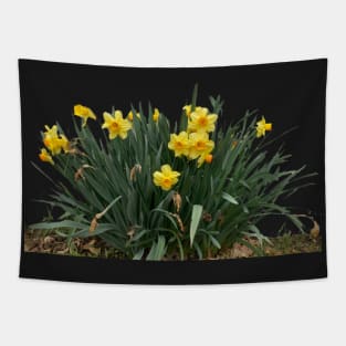 Clump of Daffodils Tapestry