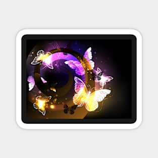 Whirlwind with Night Butterflies Magnet