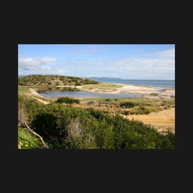 Sand Dune System, South Australia by jwwallace