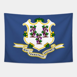 Flag of Connecticut State of the USA Tapestry