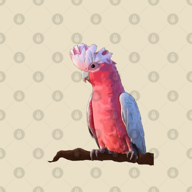 Silly Galah by Laytle