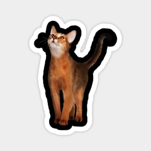 Abyssinian cat, Cat Lover Magnet