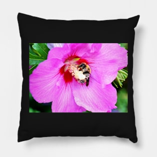 Bumble Bee Pollinating Pink Flower Pillow