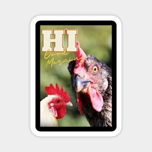 Hi, Good morning - Hens Magnet