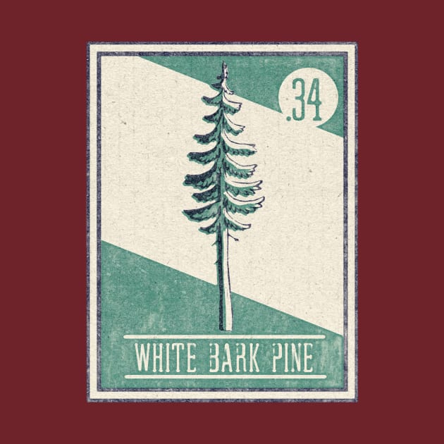 No. 34 White Bark Pine by theBenCorlett