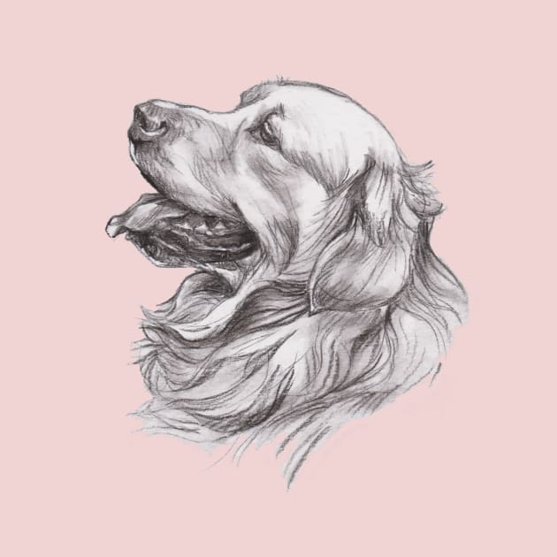 Golden Retriever Dog Portrait Drawing by lalanny