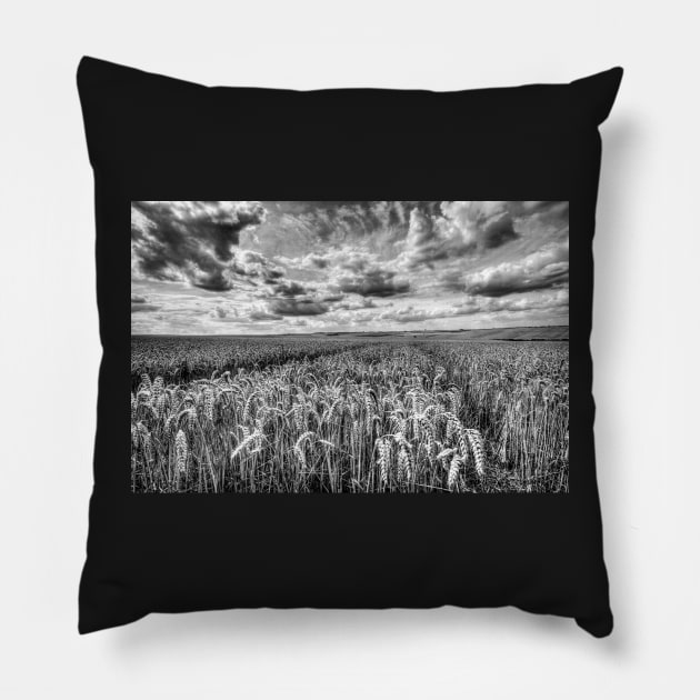 Time For Harvest Pillow by tommysphotos