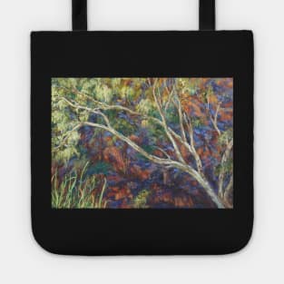 River red gum at Ellery Creek Waterhole Tote