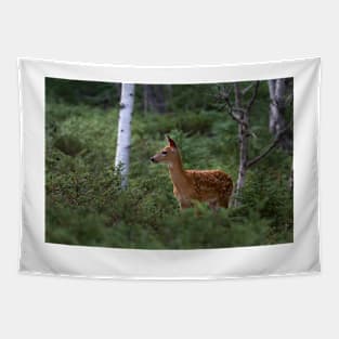 White-tailed Deer Fawn in Junipers Tapestry