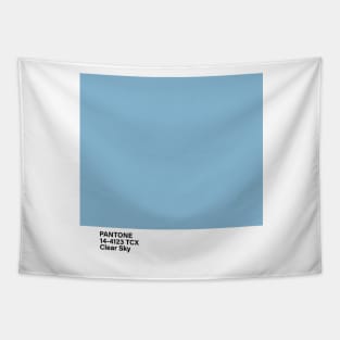 PANTONE 14-4123 TCX Clear Sky Tapestry