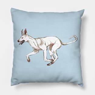 Spirit of Joy Pillow