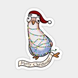 Christmas Pigeon Delivering His Holiday Message Magnet