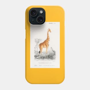 Giraffe (Giraffa camelopardalis) Phone Case