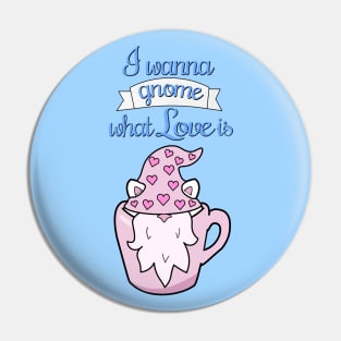 I wanna gnome what love is Pin